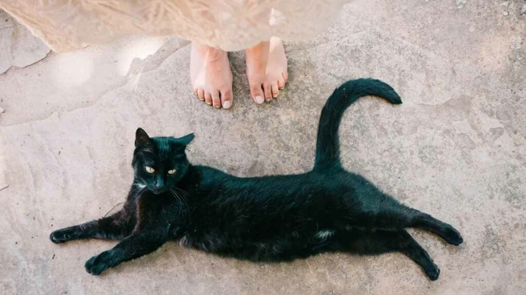 Superstitious OCD: When Beliefs and Behaviors Become Compulsive