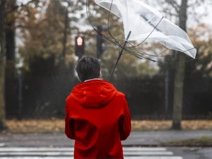 Treatments For Sexual Orientation (SO) OCD